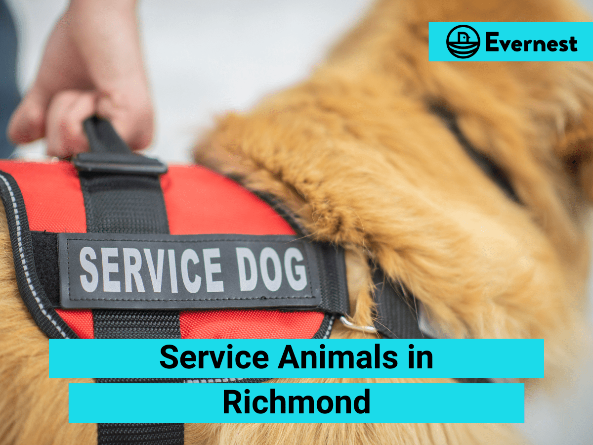 Service Animals: Everything Landlords Need to Know in Richmond, Virginia
